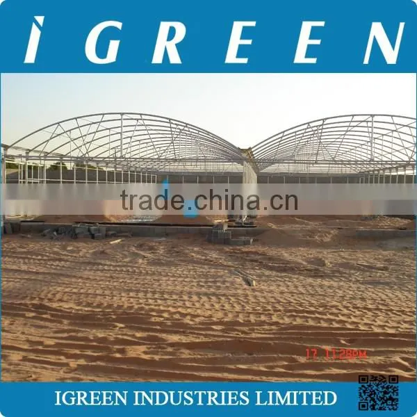 Economical Commercial Polycarbonate Sheet Greenhouse