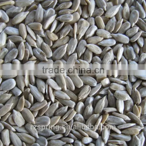 CONFECTIONARY GRADE SUNFLOWER SEED KERNELS photo-2