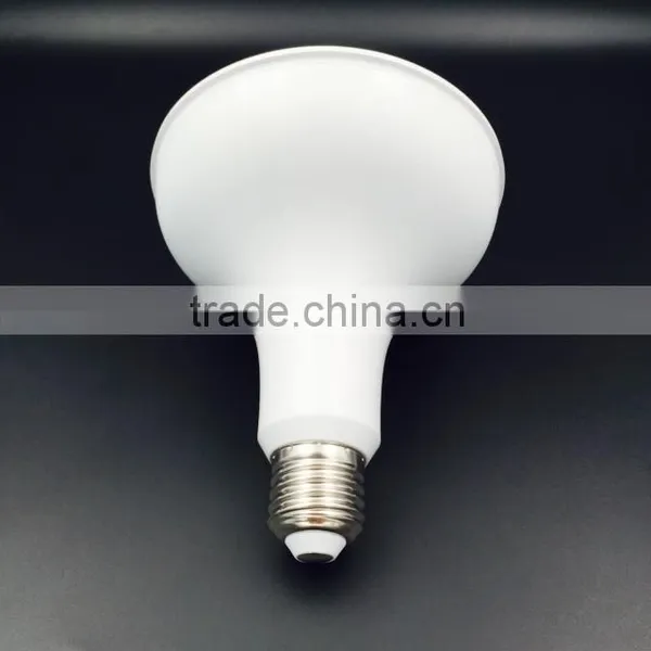 Express IP65 175-250V 16W 1500lm PAR38 LED Spot Light photo-3