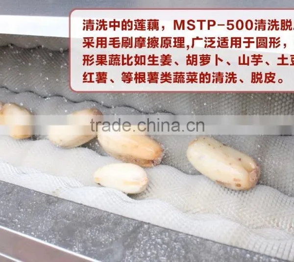 MSTP-500 High Efficiency Automatic Fresh Ginger Washing and Peeling Machine photo-4