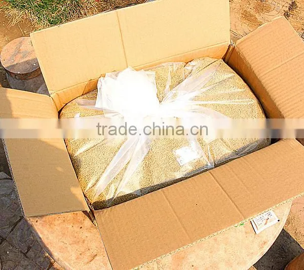 Wholesale Bee Pollen Prices Bee Pollen Pollen photo-3