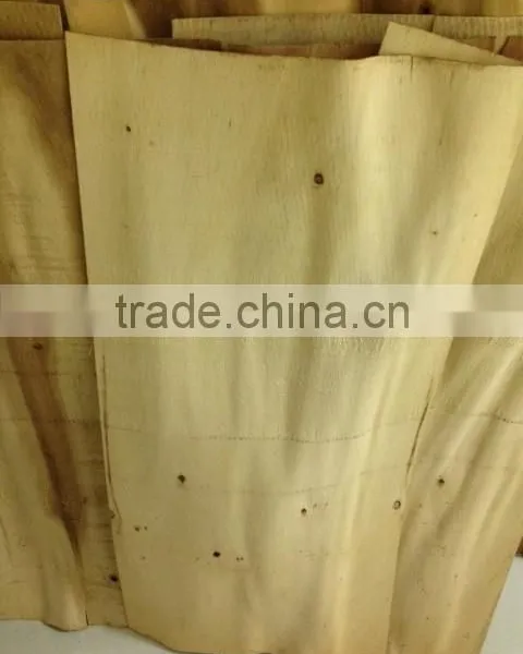 Acacia Rotary Veneer for Malaysia Market photo-3