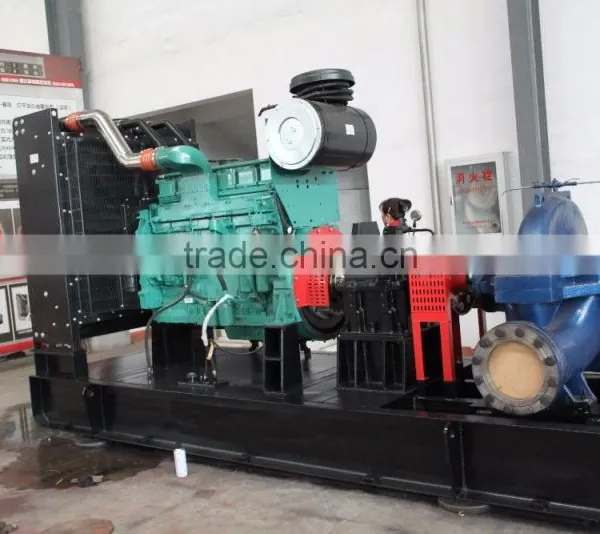 DEFU Brand Drinking Water Hand Pump With Diesel Engine photo-3