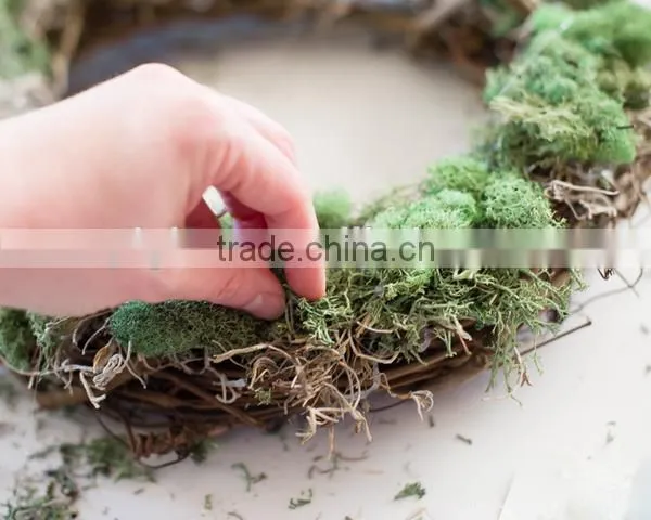 Multi Colors Real Natural Preserved Moss for Wall Christmas Decoration