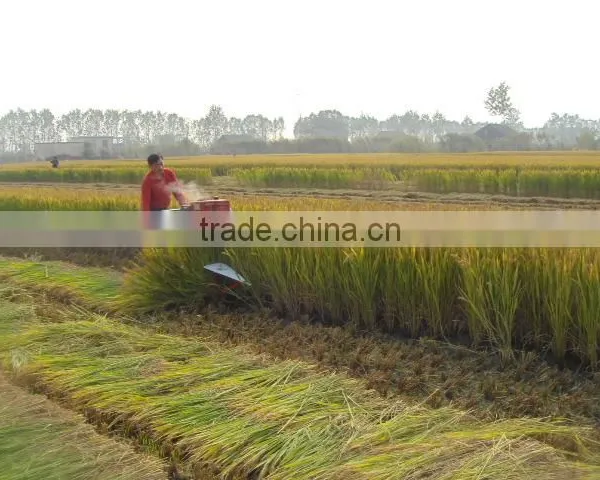 Mini Rice and Wheat Harvester for Sale in Pakistan photo-2