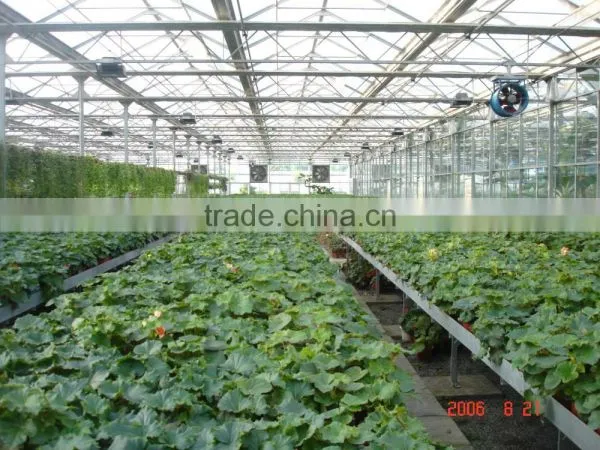 Nursery Greenhouse photo-5
