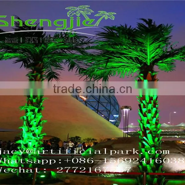 SJLJ01160 Outdoor Lighted Palm Tree Artificial Palm Led Tree photo-4
