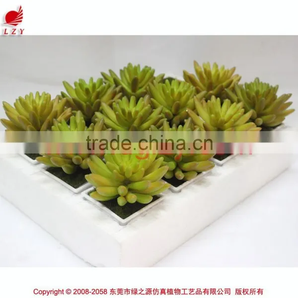 Wholesale Artificial Mini Succulent Plant Artificial Small Potted Plant photo-3