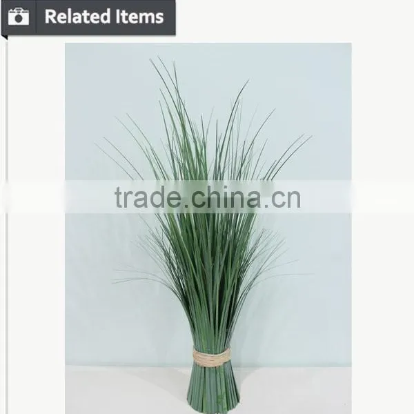 Hotsales Natural Cylinder Onion Grass for Garden Decoraction photo-6