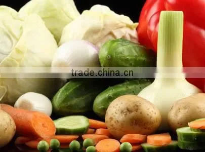 New Crop Chinese Fresh Carrot for Sale photo-4