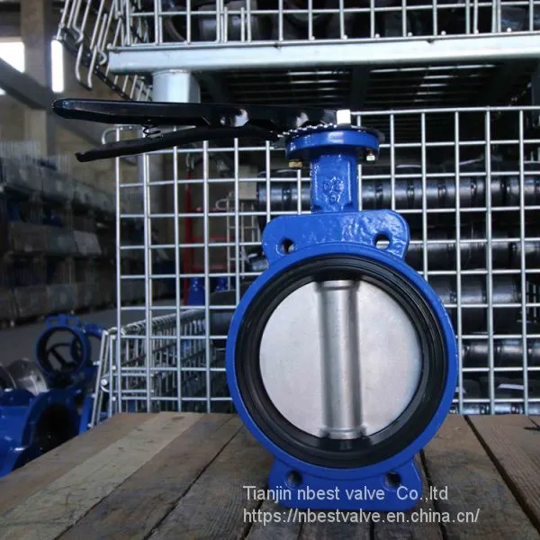 Marine Semi-lug Butterfly Valve DN100 With Lever photo-3