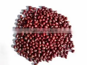 Organic Chinese Red Beans
