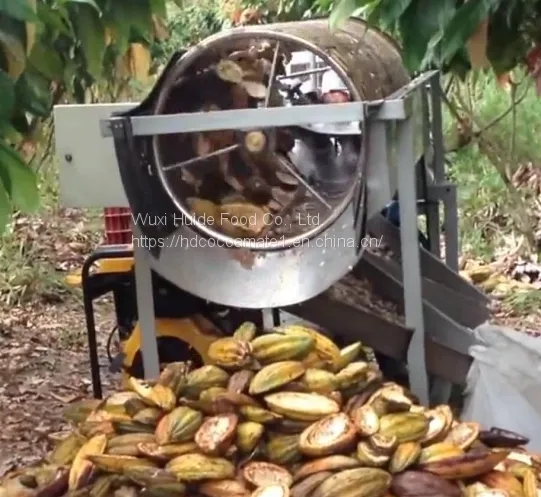 Cocoa pod cutting machine and the seeds separated, capacity up to 1000kg/h