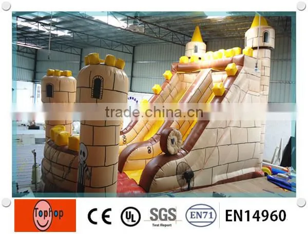 Most Fascinating Inflatable Slide Type Inflatable Double Lane Slip Slide photo-5