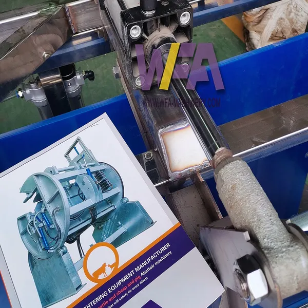 Complete 100 Pig Per Shift Abattoir Stunning Box For Hog Slaughtering Equipment photo-4