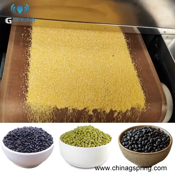 High-efficiency Industrial Microwave Dryer Machine for Corn Bean Grain Drying Sterilization Processing Equipment