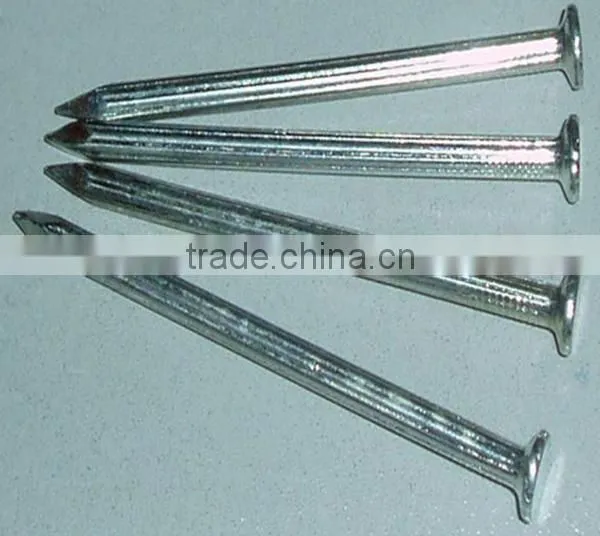 China Common Wire Nail Factory/Iron Nail/Wire Nail photo-4