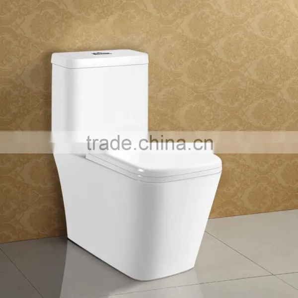 Floor Standing Good Reputation Ceramic Watermark Toilet photo-3