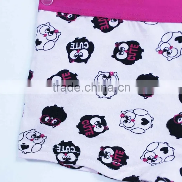 China Children's Underwear Factory Trendy Printed Underwear Briefs Girls Preteen Underwear photo-2