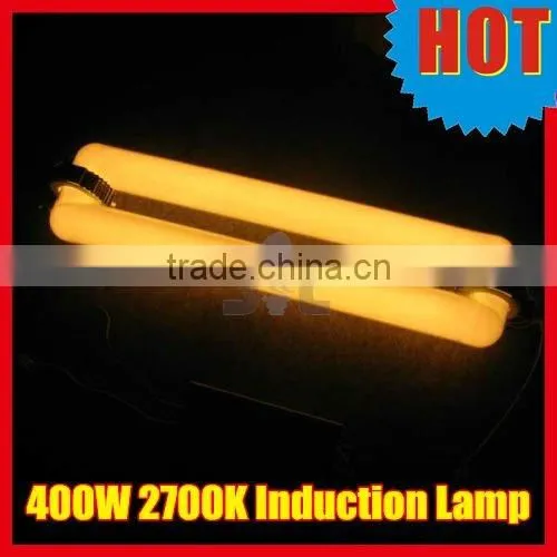2700K 400W High Wattage Plant Grow Induction Lamp