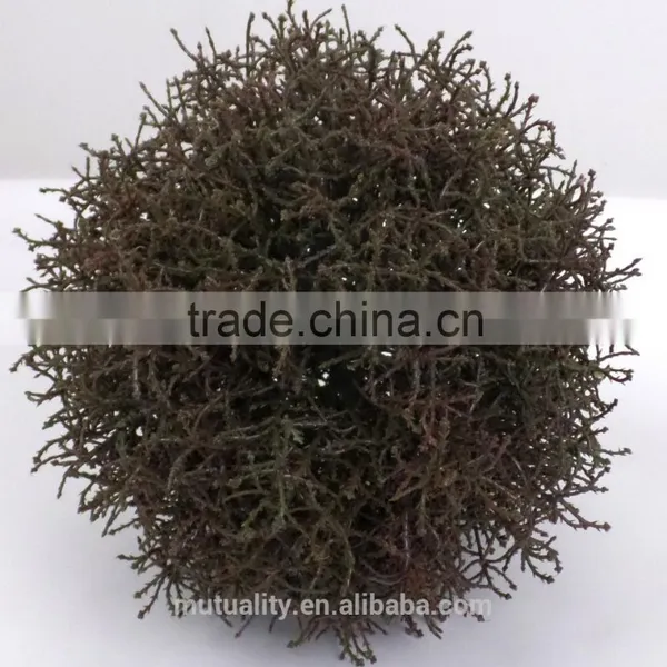 Whosale Artificia Gtrass Ball for Interior Decoration photo-2