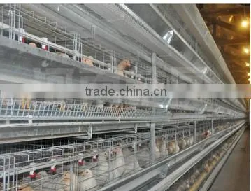 Chicken Battery Cages photo-3