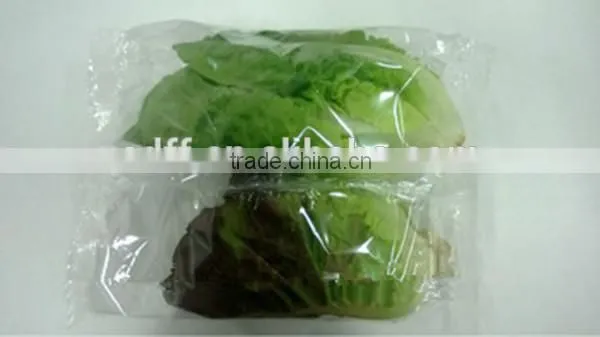 Multi-Function Automatic Vegetable and Fruit Packing/ Wrapping Machine/Horizontal Flow Packaging Machine photo-3