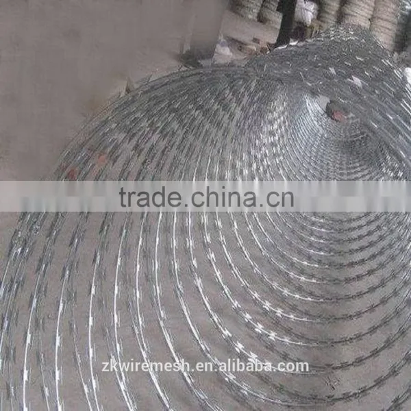 Express China Factory Low Price Concertina Razor Barbed Wire for Sale photo-2