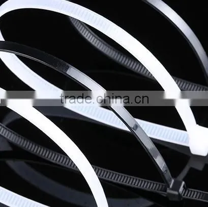 Motorcycle Use Different Size of Nylon Tie photo-5