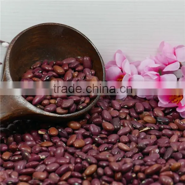 Small Red Kidney Bean 2016 Crop Good Price High Quality photo-3