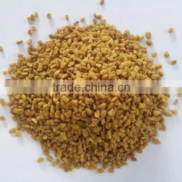 Fenugreek Seed photo-3