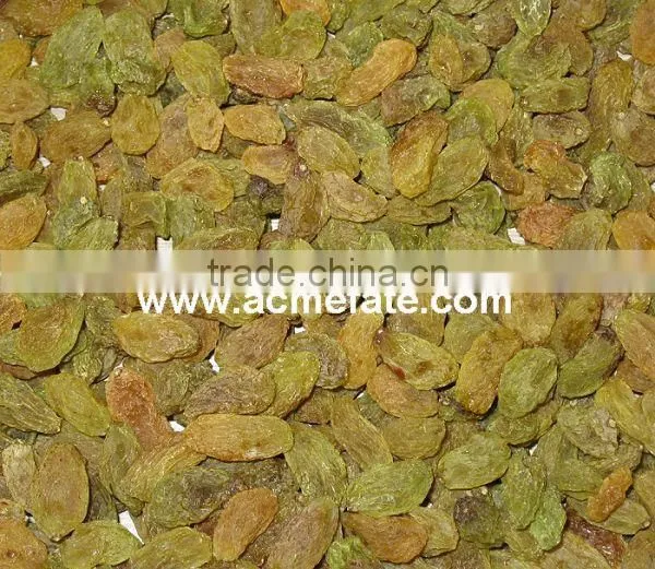 Best Price Top Quality Seeded  Raisin(golden,green,sultana,sun Dried) photo-5