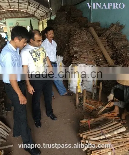 VIETNAM THIN SPLIT CASSIA photo-5