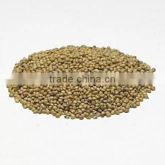 Millet