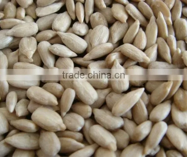 Sunflower Seed Shell Removing Machine photo-2