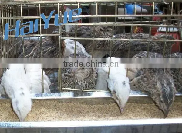 Taiyu Cage for Quail for Sale for Quail Farm