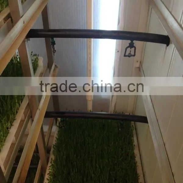 Automatic Bean Bud Seeding Machine With High Quality Best Price photo-4