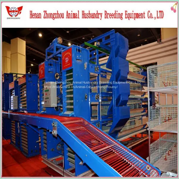 Professional Automatic Chicken Cage for Poultry Chicken Farm photo-3