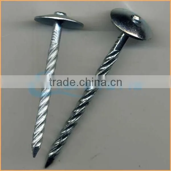 Top Quality Copper Roofing Roofing Nails Trusted Chuanghe Suppliers From Com photo-5