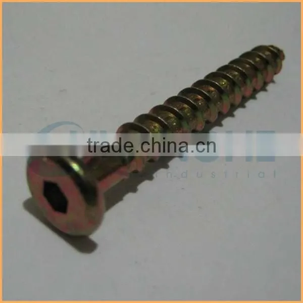 China Factory Sales Stainless Steel Furniture Screws and Fasteners photo-6