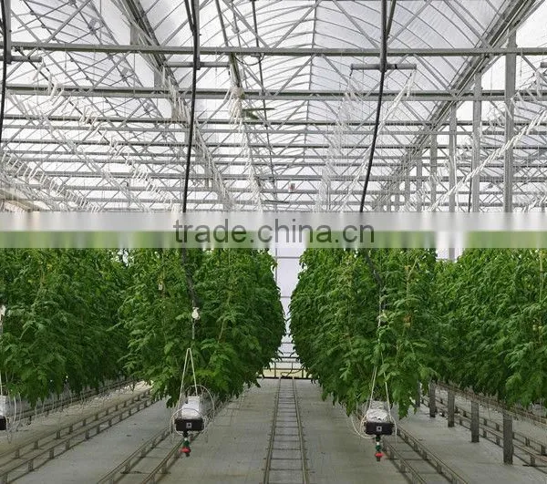 Agricultural Greenhouse photo-2