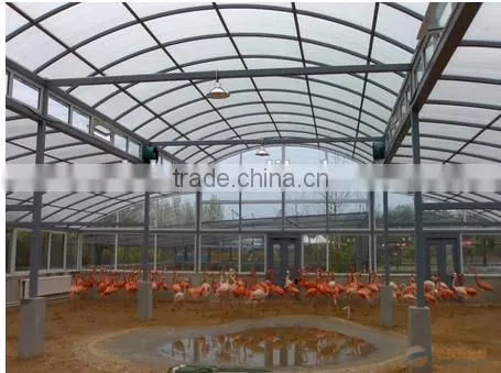 Good Performance Low Cost Steel Frame Agricultural Greenhouse photo-2