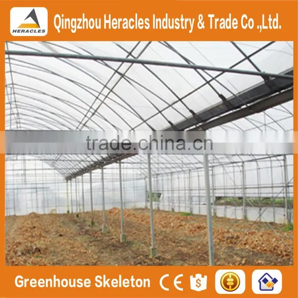 Heracles Trade Assurance Vegetables Multi-span Greenhouse photo-4