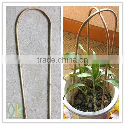 Bamboo Tonkin Cane Trellis for Climbing Plants photo-2