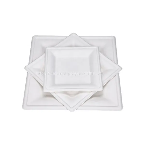 6'' 8''10'' Square Sugarcane Bagasse Plates China Supplier Wholesale Biodegradable Compostable Microwave and Freezer Safe photo-3