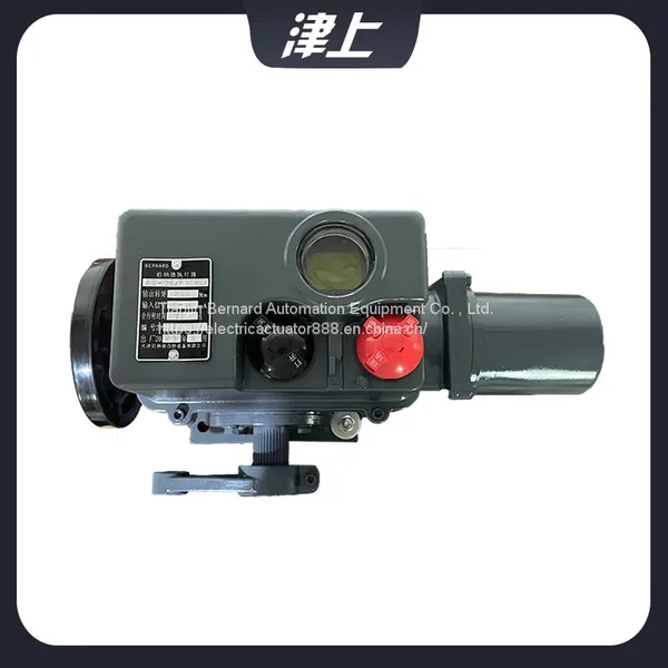 Bernard Intelligent Valve Controller BS-60/K30H Remote Control Electric Actuator photo-5