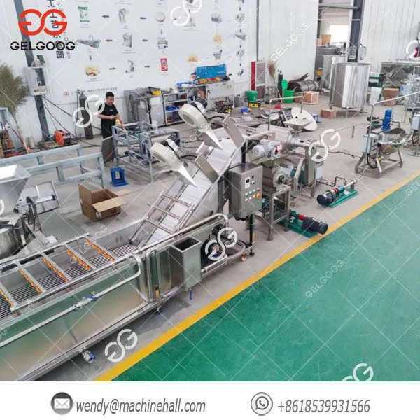 Fruit Juice Production Machinery Manufactruer Whole Line China Hot Sale photo-3