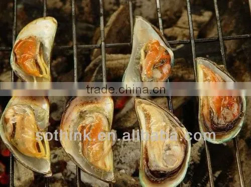 High-quality Barbeque Grill Wire
