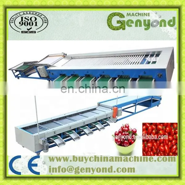 Sorting Grading Machine of Fruits and Vegetables photo-2