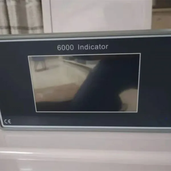 6000 индикатор